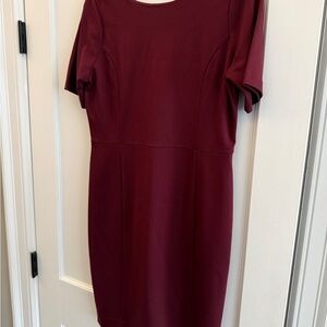 Ann Taylor burgundy NWOT dress 12 petite